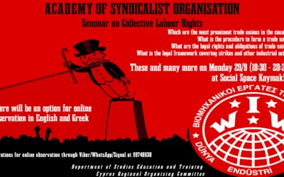 Seminar on Collective Labour Rights